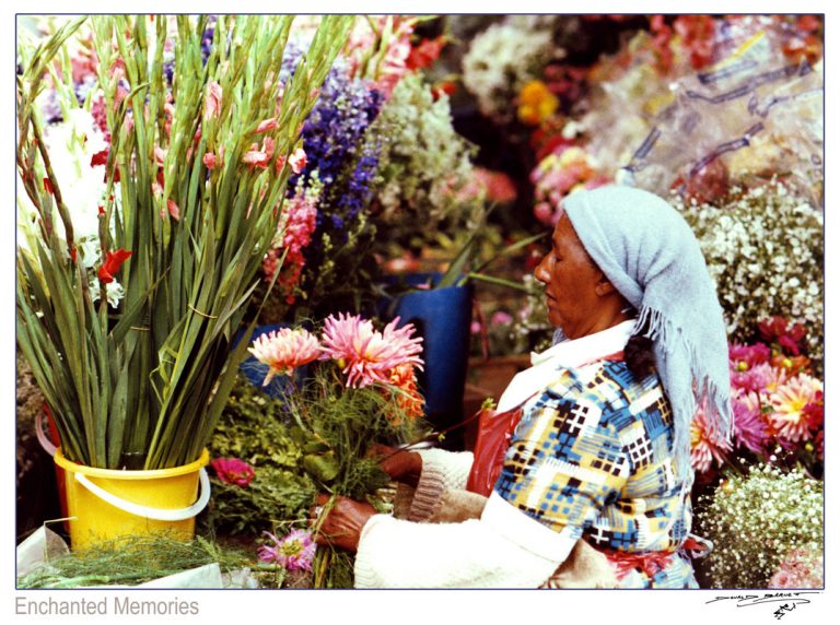 the Face of Africa, 35mm photo journal © Don's Art