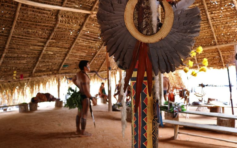 inherit, indigenous tribe of Brazil © Don's Art
