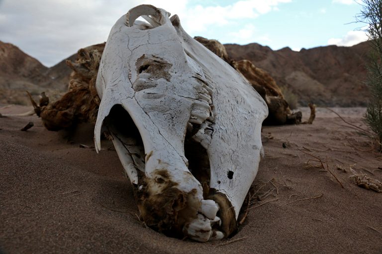 Fish River Canyon, photo journal Hike, Namibia © Don's Art