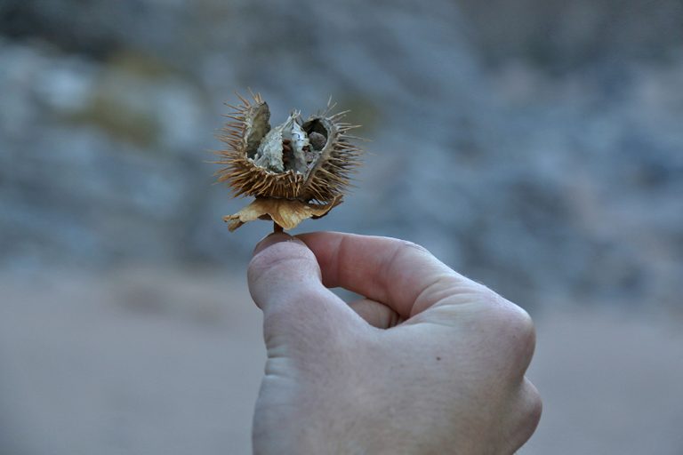 Fish River Canyon, photo journal Hike, Namibia © Don's Art