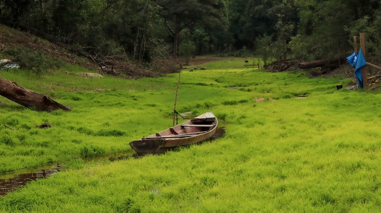 Boats of Brazil, Amazon River, Livramento community, fishing boat. Copyright © Don's Art