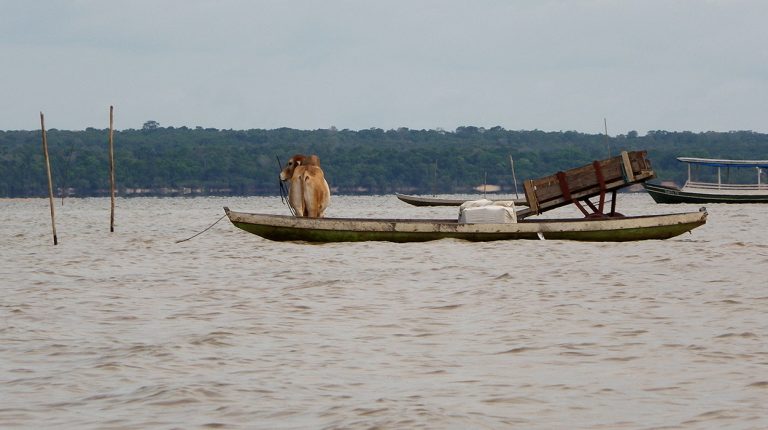 Boats of Brazil, Amazon River. Copyright © Don's Art