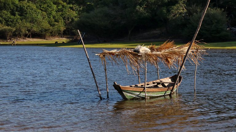 Boats of Brazil, Amazon River, fish farm. Copyright © Don's Art